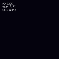 #04020C - Cod Gray Color Image